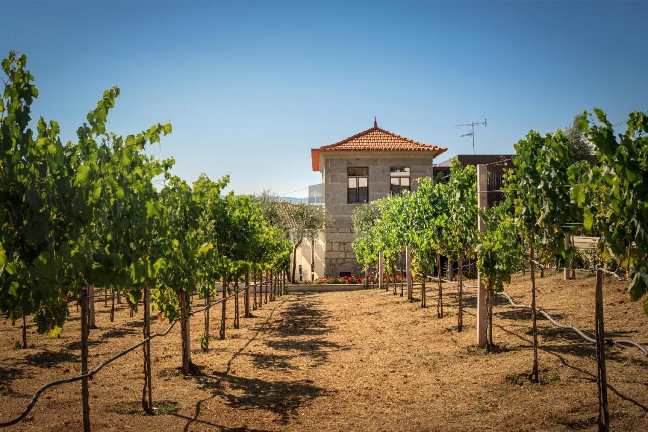 Quinta Do Aido - Winetourism Villa Cinfães Buitenkant foto